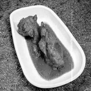 Chicken Majestic Special