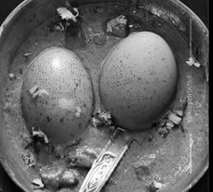 Egg curry