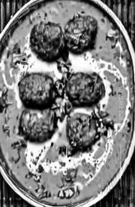Veg Kofta