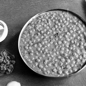 Plain Dal
