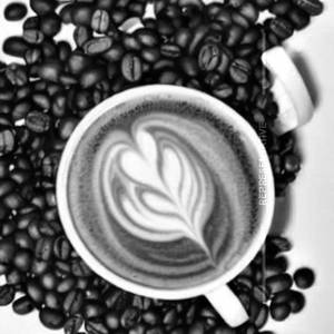 Coffee italia
