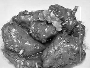 Hot Garlic Chicken