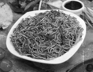Schezwan Noodles
