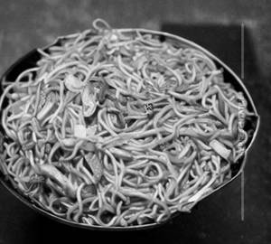 Veg schezwan Noodles