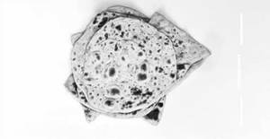 Plain Paratha