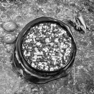 Corn Palak