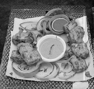Paneer Nizami Kabab
