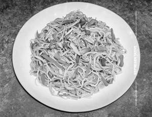 Mixed Hakka Noodles