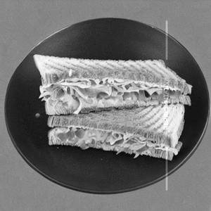 Cheese Regular Sandwich
