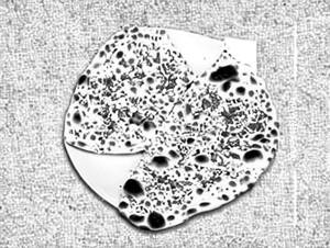 Khandari Naan