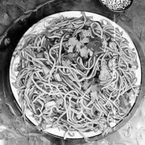 Chicken Coriander Noodles