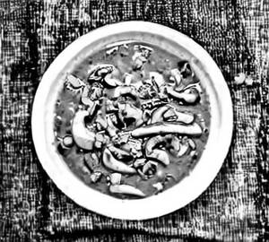 Chilli Mushroom Gravy