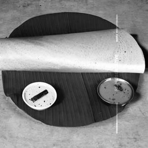 Hari Spcl. Dosa