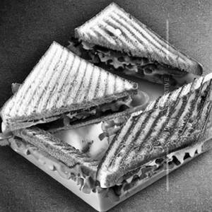 Veg Sandwich