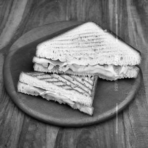 Classic Cheese Sandwich