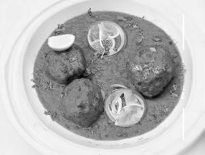 Bul Bul Kofta