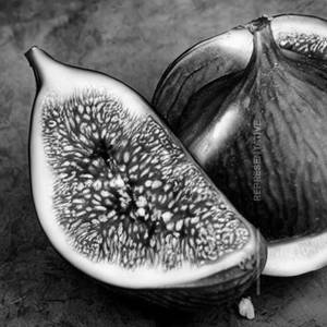 Fig(Athi)