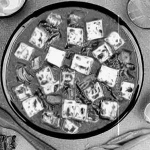 Matar Paneer
