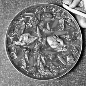 Chicken Schezwan Chopsuey