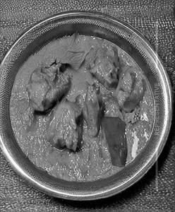 Chicken Mughalai Curry