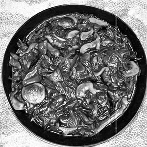 Mushroom Palak