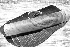 Family Dosa