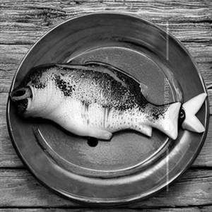 Fish Governor