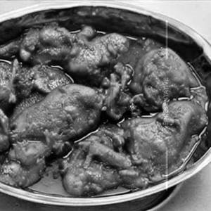 Delhi Wala Chicken Changezi