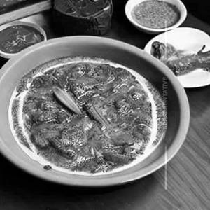 Fish Red Pattaya