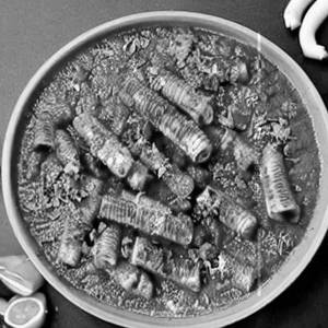 Baby Corn Dry