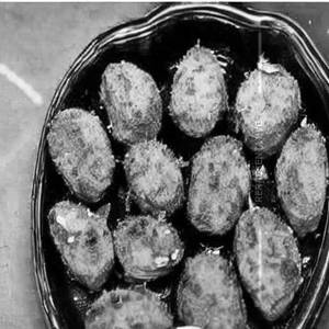 Kaju Fry