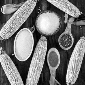 Corn Salt & Pepper