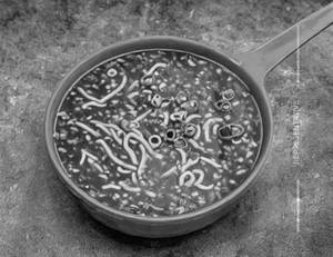 Veg Manchow Soup