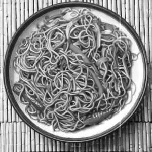 Veg Cantonese Noodles Wok Toss