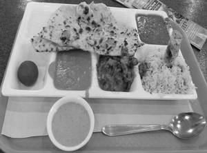 Moga Special Thali