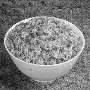Fried Rice [Full]