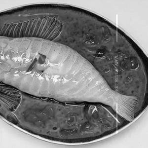Hong Kong Fish