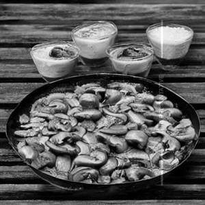 Special Mushroom Rainbow