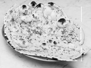 Garlic Naan
