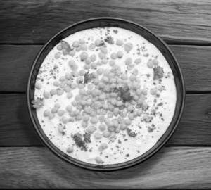 Boondi Raita