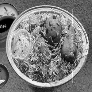 Mangalam Special Boneless Chicken Biryani