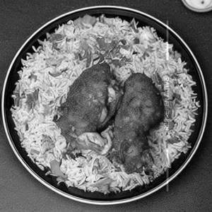Chicken Kabsa Rice Full