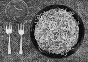 Mixed Schezwan Noodles