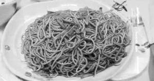 Veg Sherpa Noodles