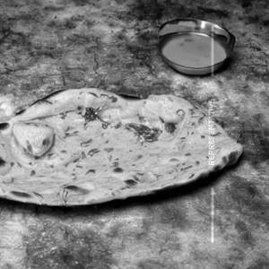 Butter Pudina Roti