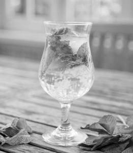 Mint Mojito