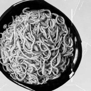 Peaking Noodles