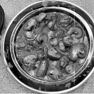 Mushroom Mutter