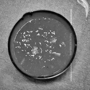 Veg Ginger Garlic Gravy