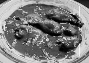 Chicken Hot & Garlic Gravy